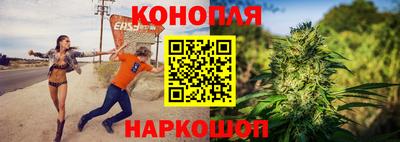 сатива Нальчик
