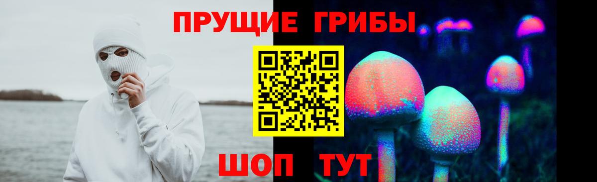 Урюпинск  Псилоцибиновые грибы Magic Shrooms  Вход с VPN 